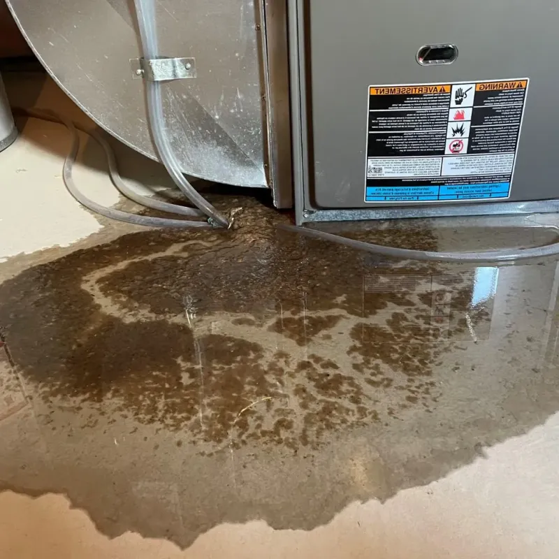 Pipe Burst and Leak Restoration in Cudjoe Key, FL